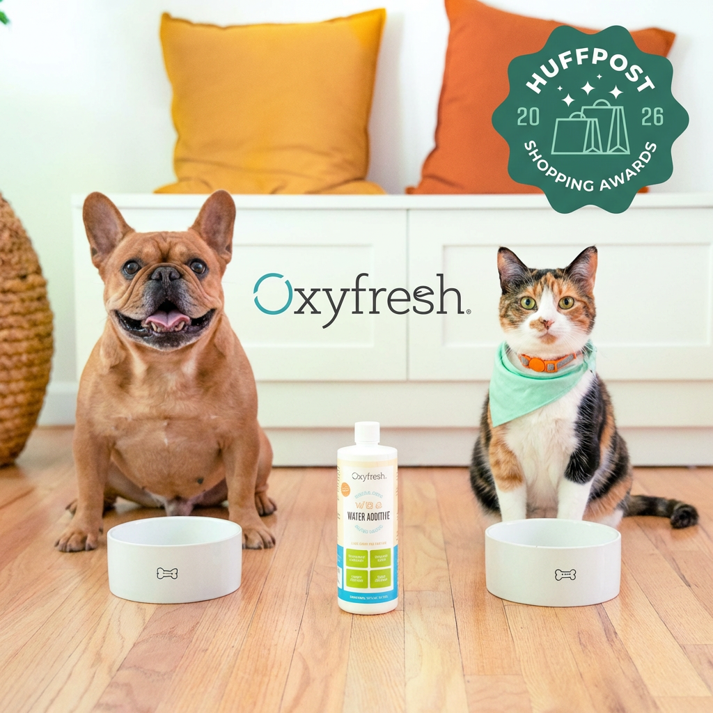 Huff Post's Top Pet Pick for 2026