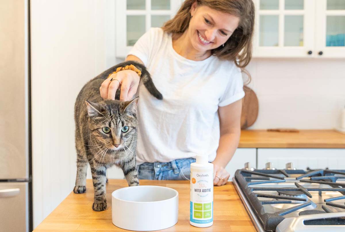 curious-tabby-cat-with-green-eyes-with-loving-owner-and-cat-water-bowl-containing-water-and-oxyfresh-cat-water-additive-for-fishy-kitten-breath