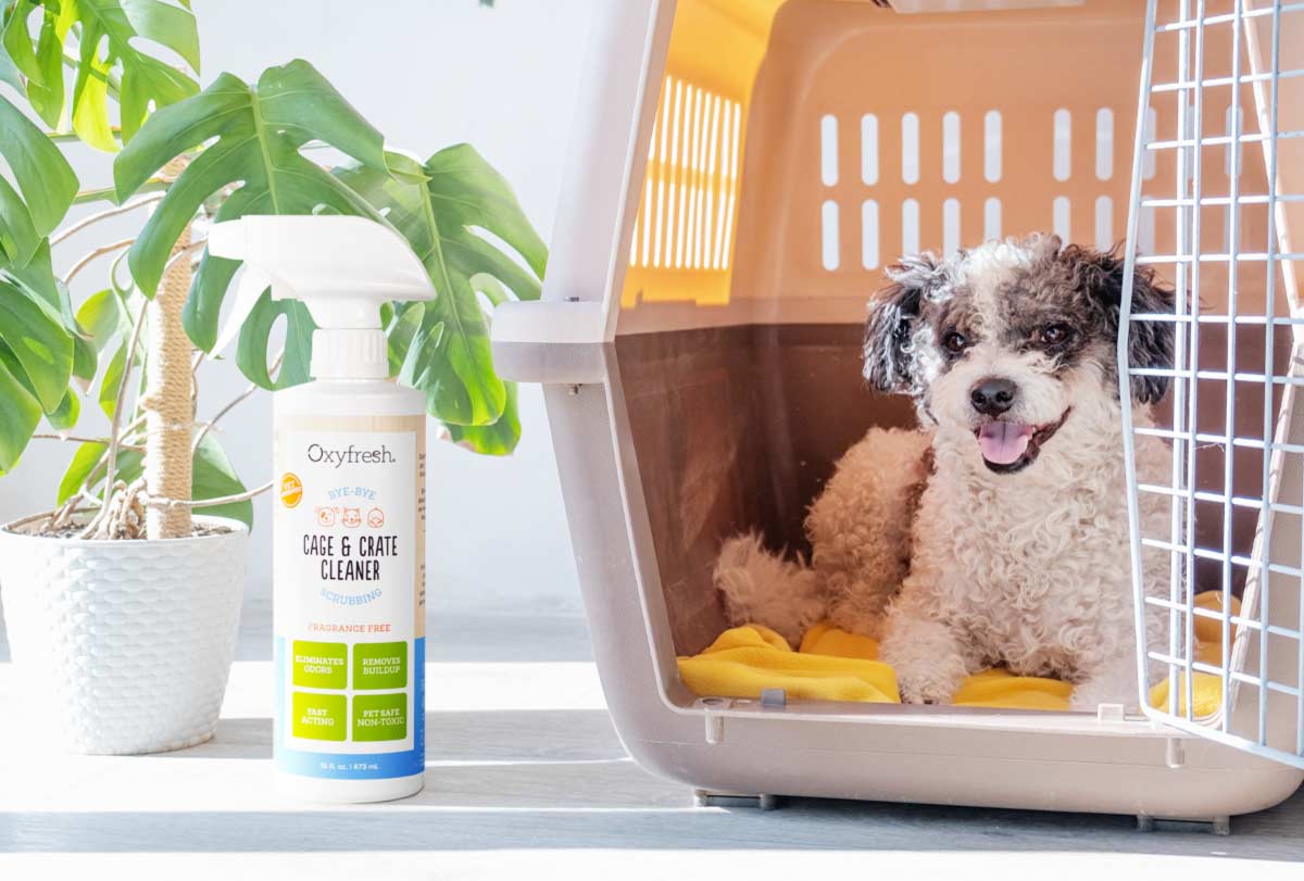 oxyfresh cage and crate cleaner helps dissolve smells left behind by pets sensitive enough to use in their crate and clsoe quarters