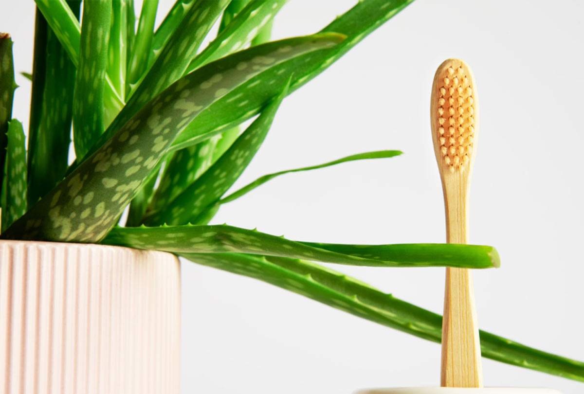 Is Aloe Vera Good for Gums and Teeth?, image size:1200x810