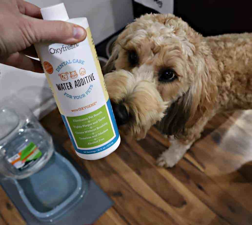 Oxyfresh Featured in Parenting Healthy