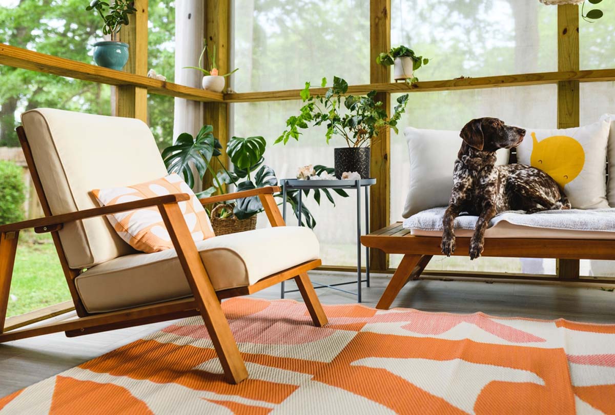 cute-dog-on-couch-after-home-had-spring-refresh