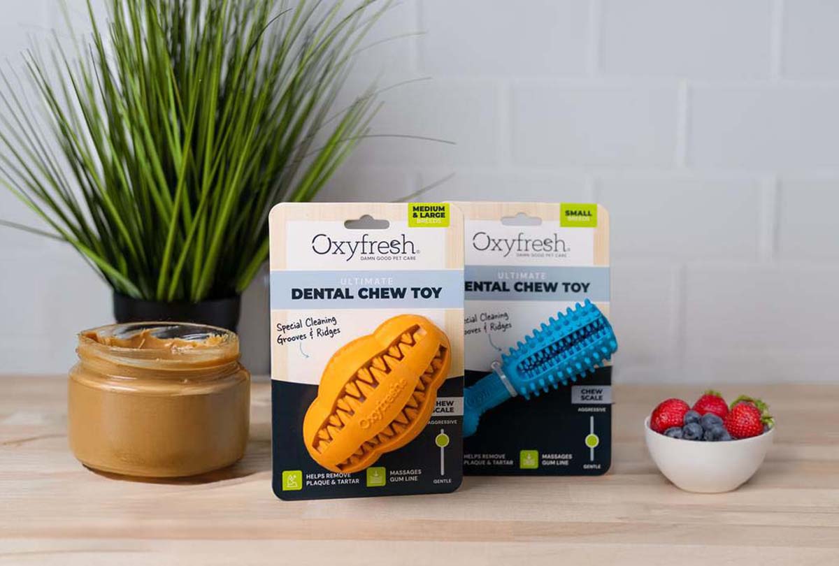 Easy DIY Frozen Dog Treat Recipes Your Dog Will Go Crazy For