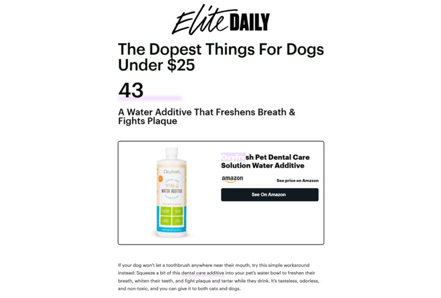 The Dopest Thing for Dogs Under $25