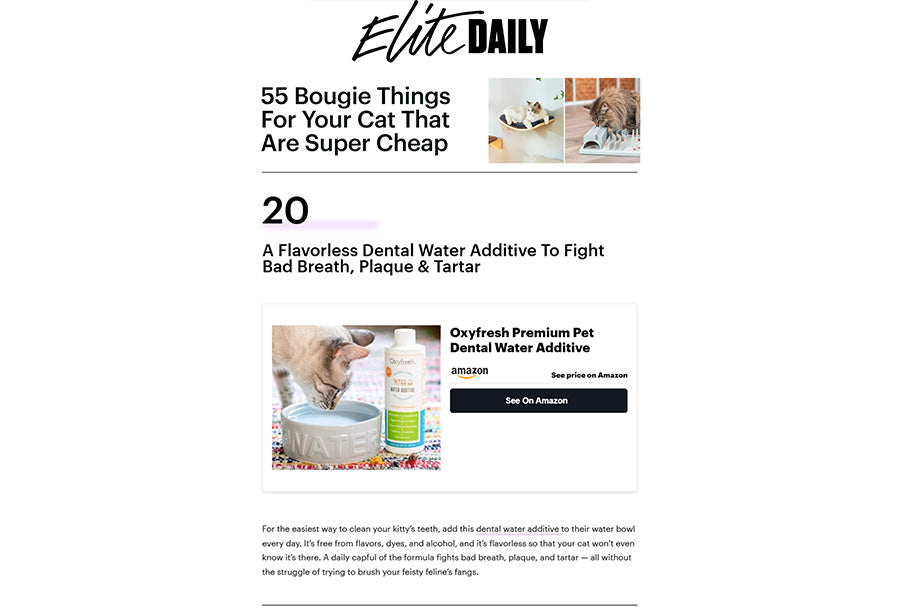 Elite Daily: "55 Bougie Things For Your Cat That Are Super Cheap"
