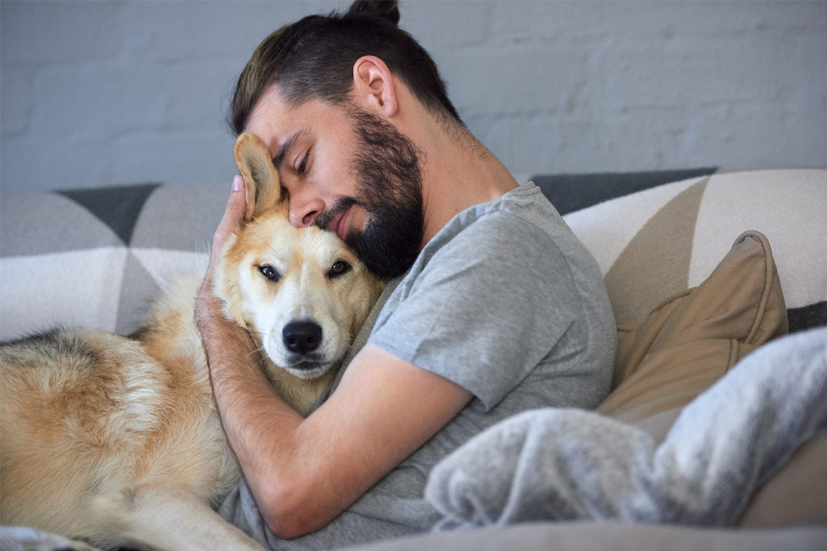 Oxyfresh - Help my Dog has Bad Breath