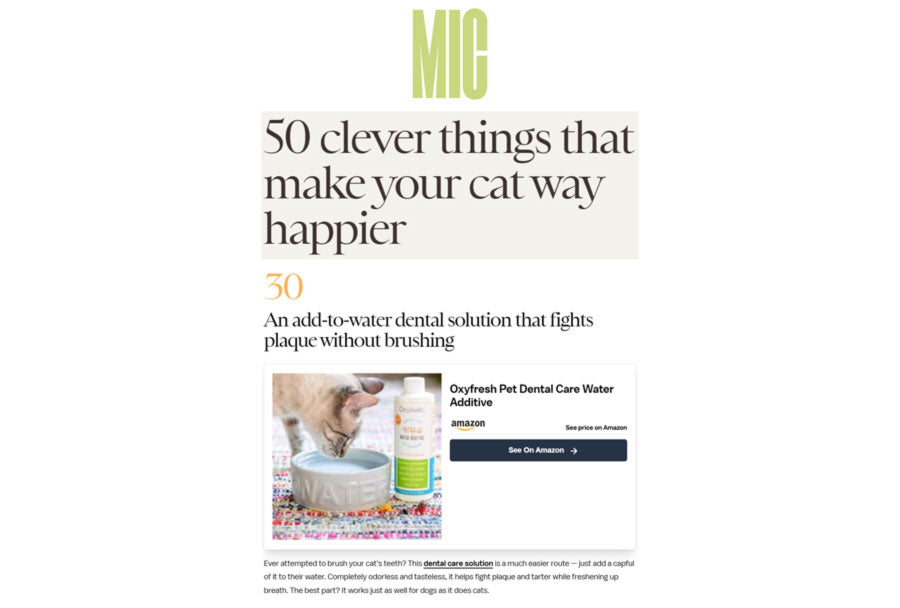50 Clever Things to Make Your Cat Much Happier