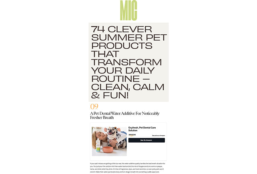 Mic: "74 Clever Summer Pet Products That Transform Your Daily Routine"
