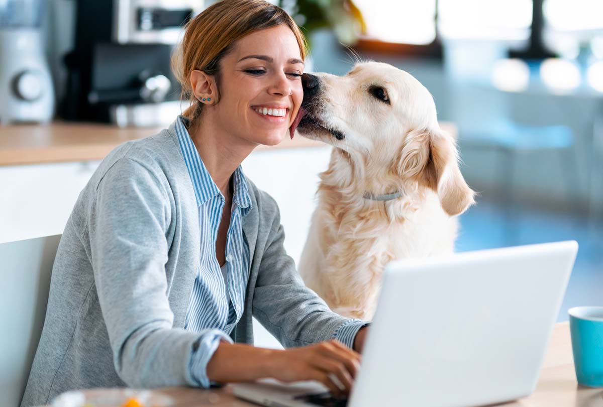 The Ultimate Wish List for National Pet Dental Health Month