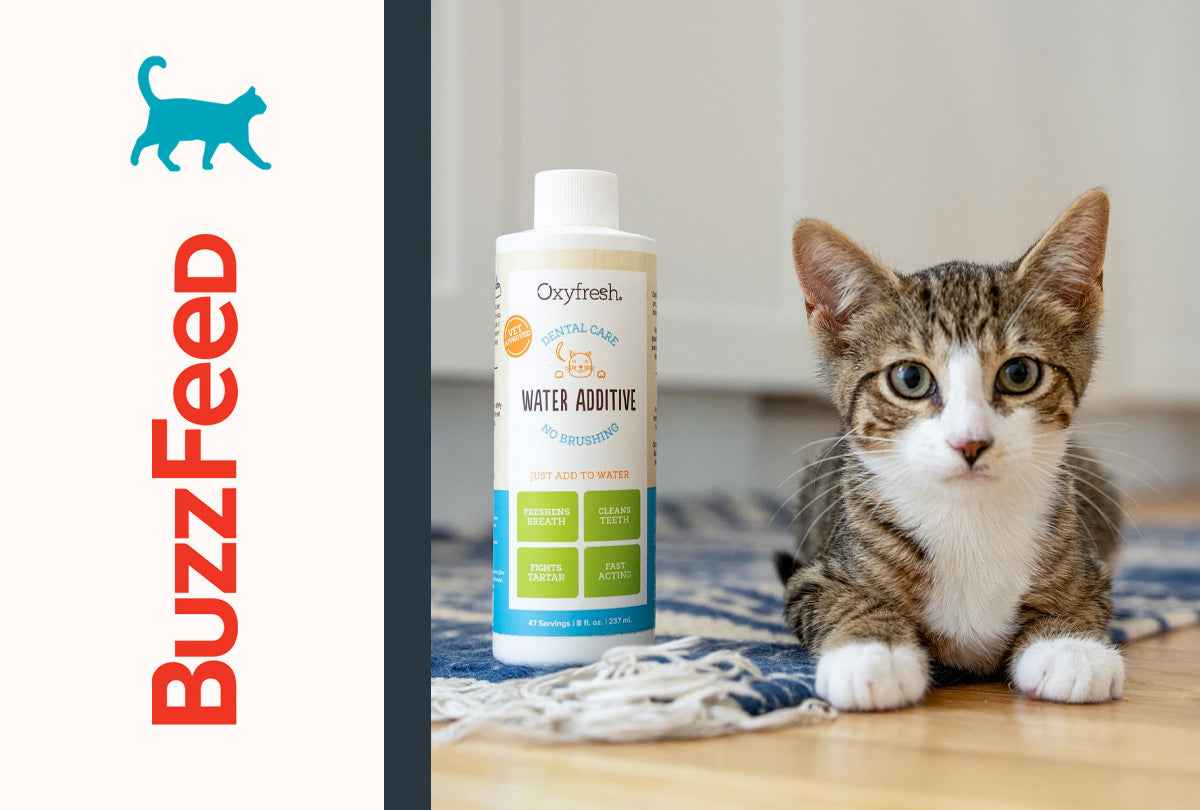 Oxyfresh Water Additive Named a "Must-Have" in June 2023 BuzzFeed Article