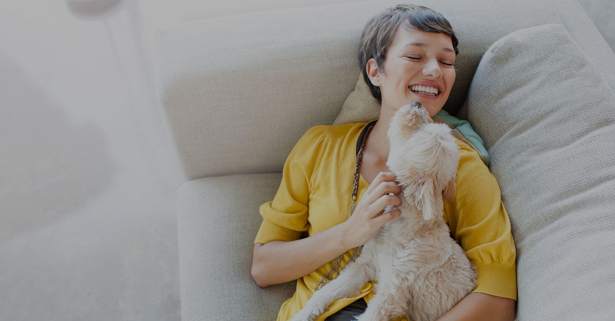 Give Your Customers Options During Pet Dental Health Month