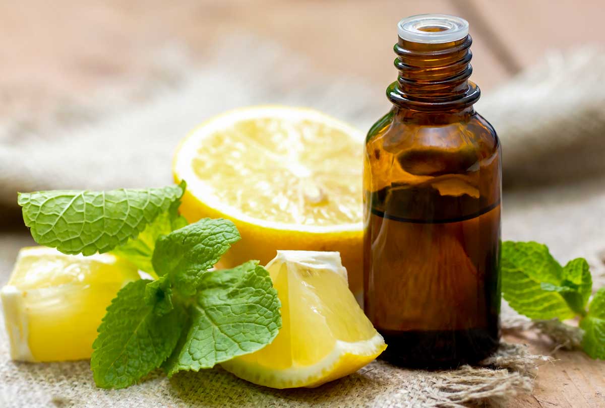 oxyfresh-lemon-mint-toothpaste-helps-stained-teeth-blog-post-called-What-Essential-Oil-Is-Good-for-Toothpaste-featured-image