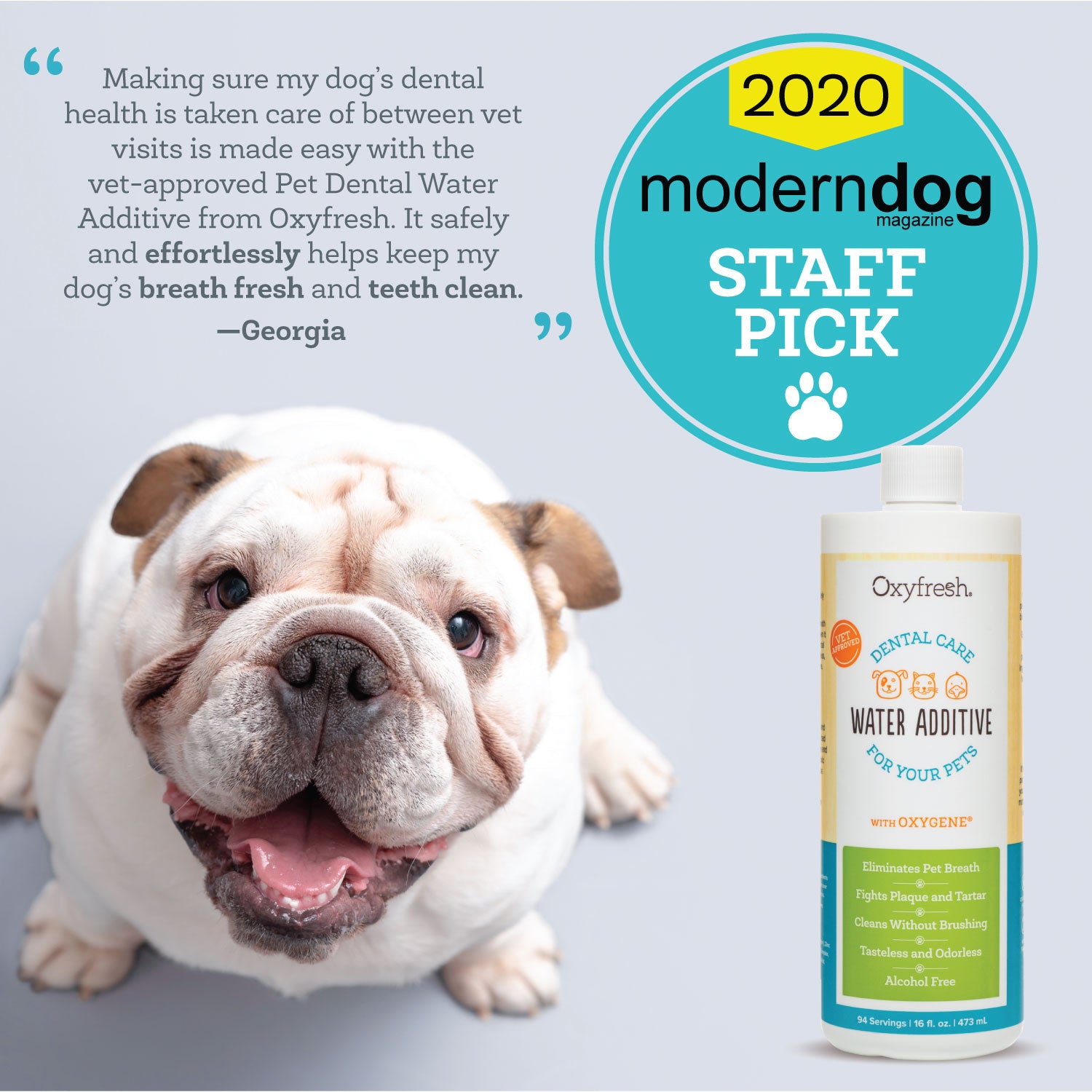 oxyfresh-modern-dog-staff-pick