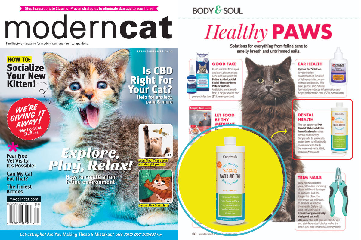 oxyfresh-pet-water-additive-modern-cat-feature