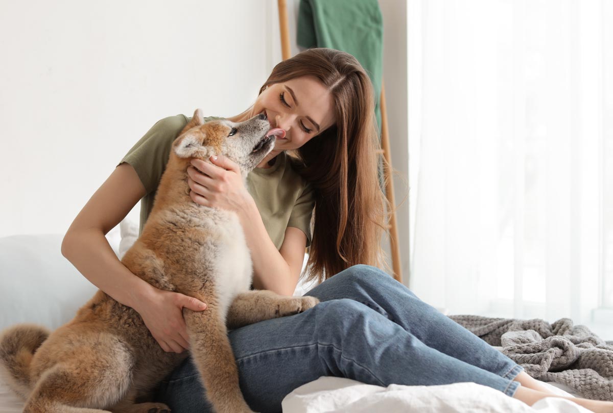 How To Fix Fishy Dog Breath