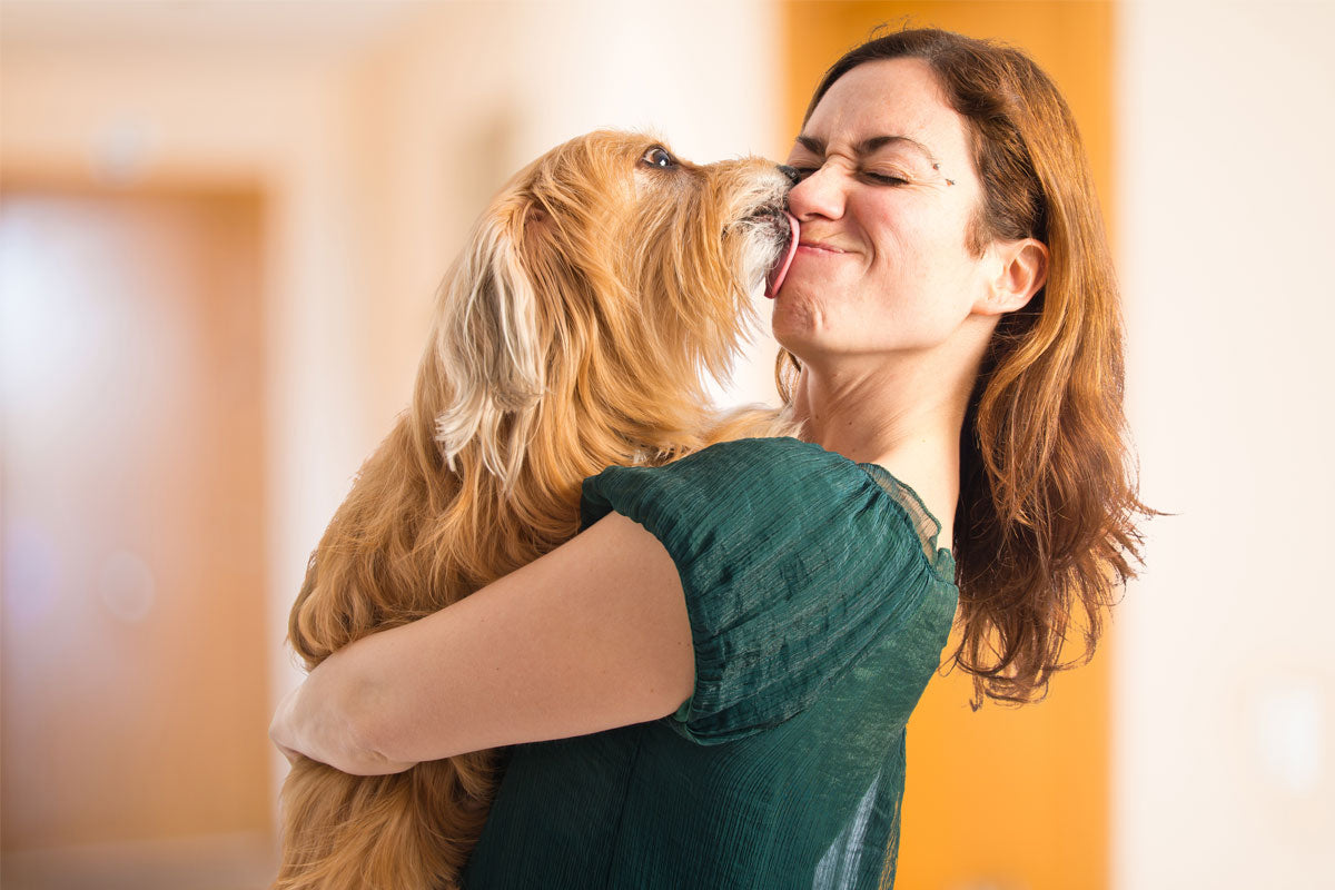 Oxyfresh - Simple Pet Bad Breath Fighters