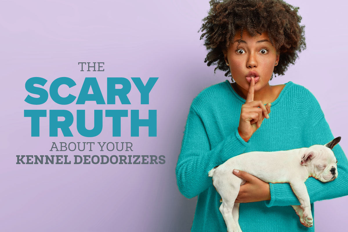 dangerous toxic ingredients in air fresheners and deodorizers