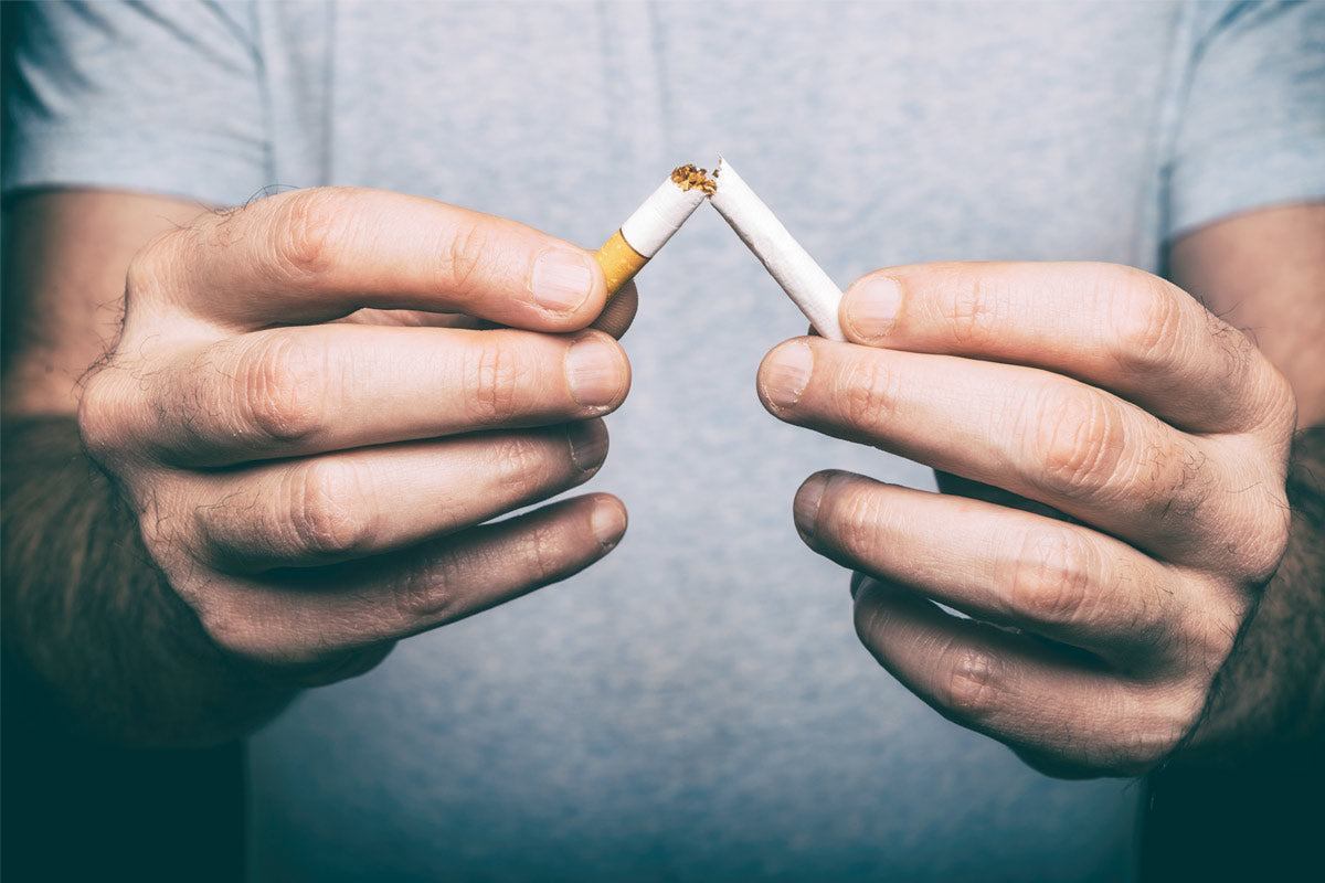 menthol cigarettes toronto Canadian Menthol Flavor Cigarettes menthol cigarettes toronto Canadian Menthol Flavor Cigarettes