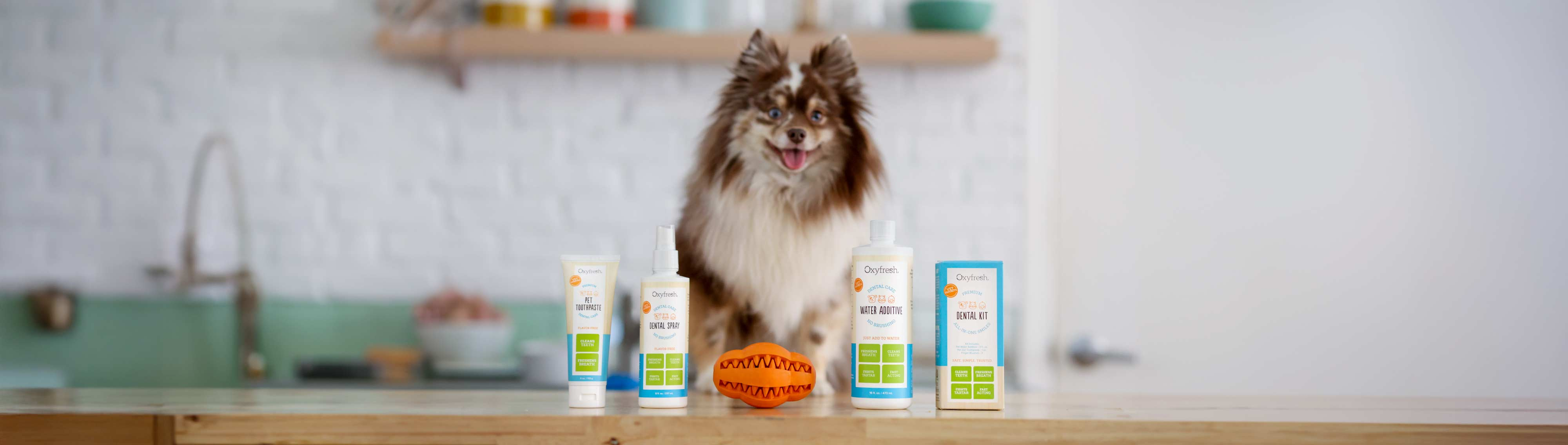 Pet Dental