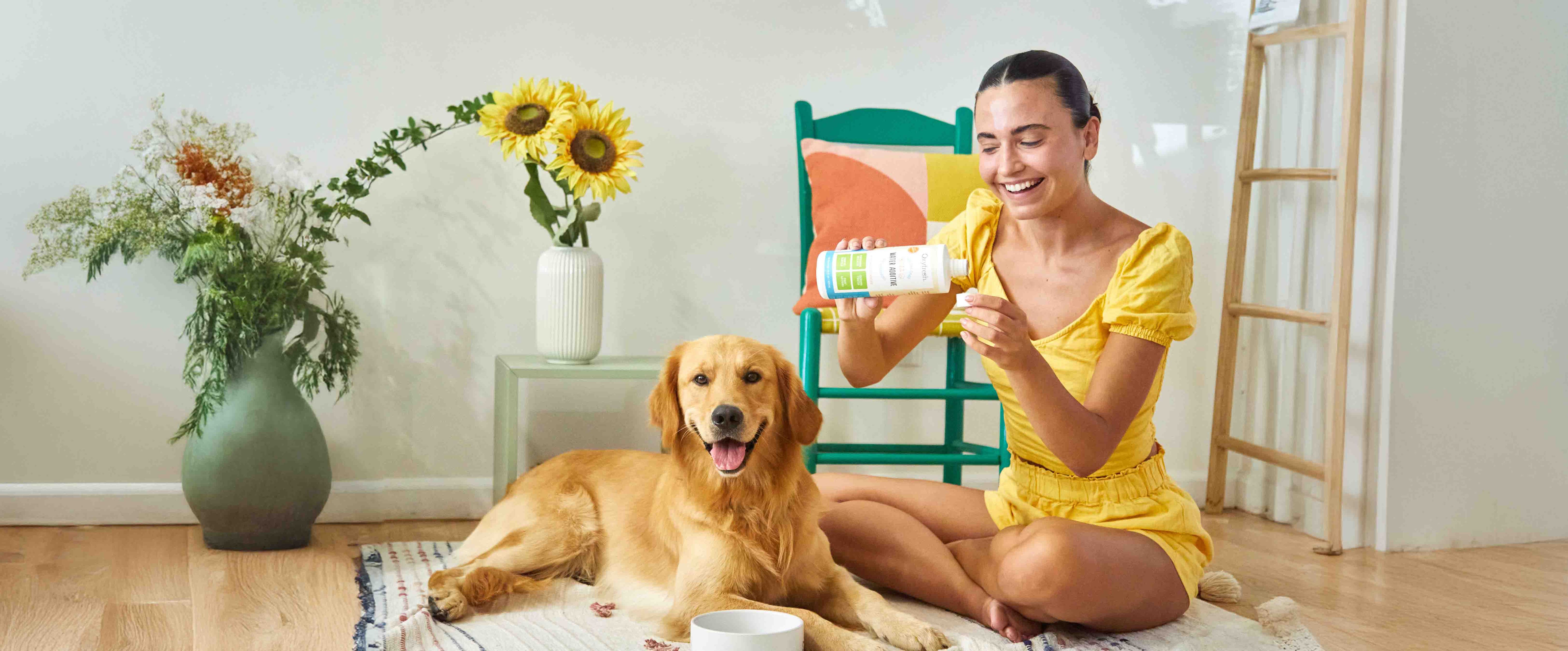 Pet Best Sellers