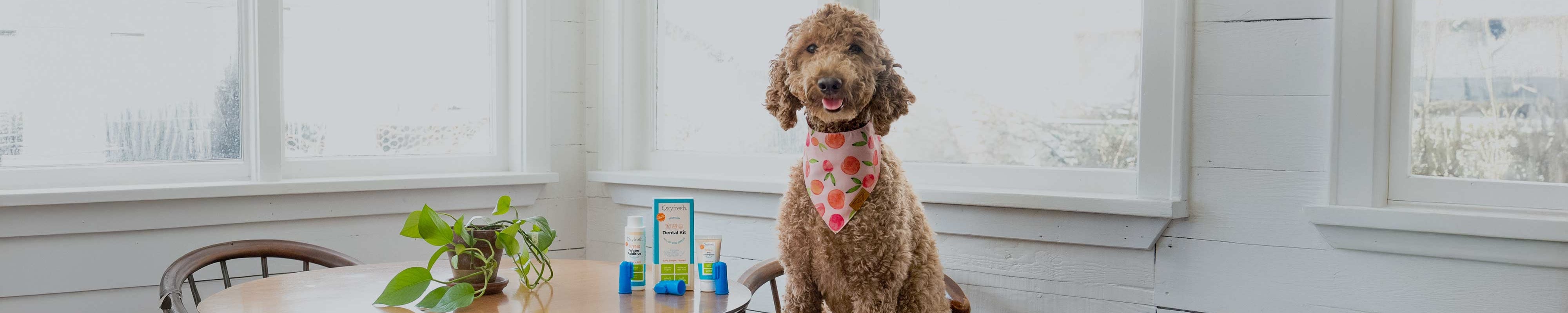 Pet Kits & Bundles