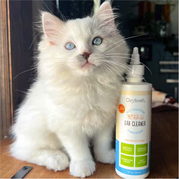 Instagram-post-_kitty_kite_adventures-next-to-oxyfresh-cat-ear-cleaner-to-remove-cat-ear-wax
