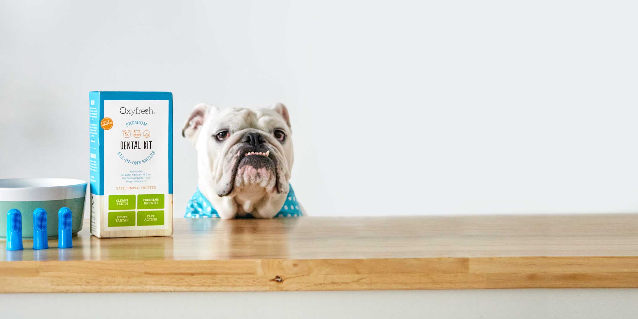 bulldog sitting at counter next to oxyfresh pet dental kit for easy fresh breath