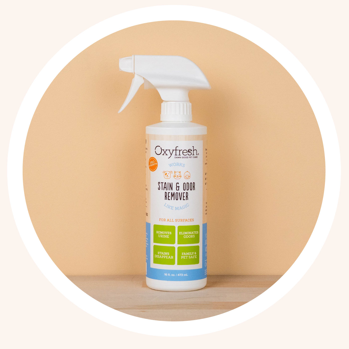 Oxyfresh-Stain-And-Odor-Remover-carpet-cleaner-pet