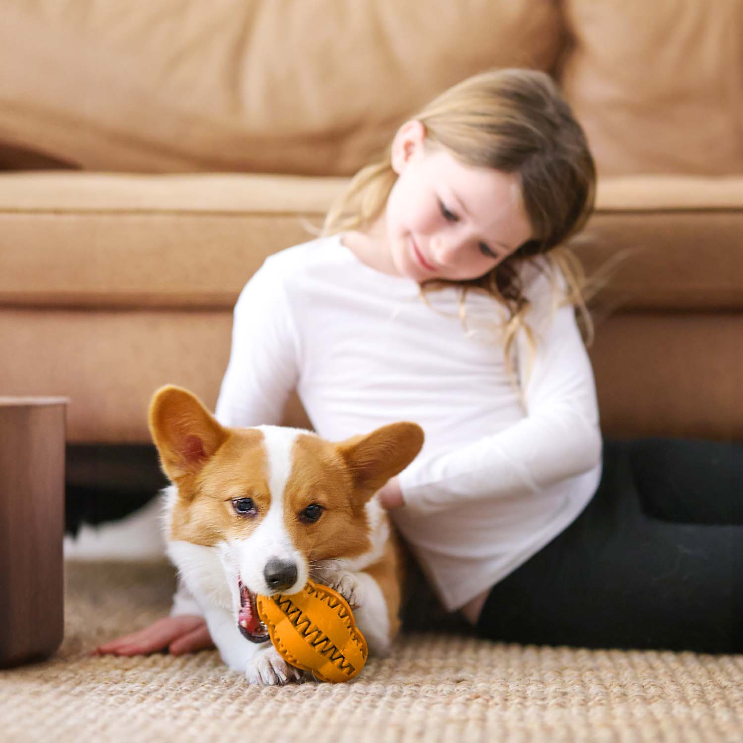 Dog Water Additive + Dog Dental Chew Toy