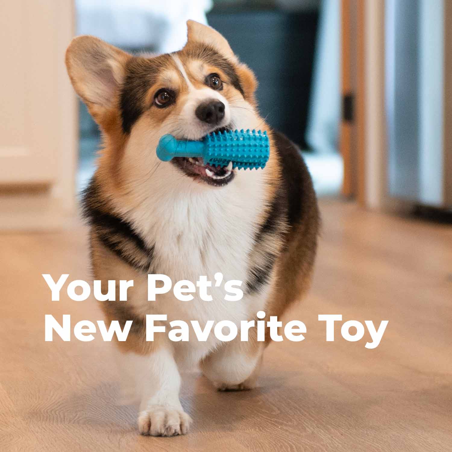 Oxyfresh_pet_chew_toy_is_your_pet_s_favorite_new_toy_perfect_puppy_crate_toys