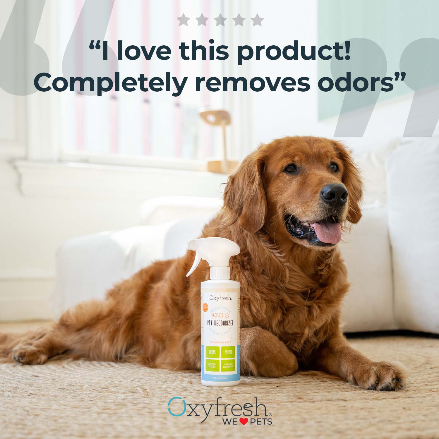 oxyfresh-pet-odor-eliminator-spray-review-"I-love-this-product!-Completely-removes-odors"