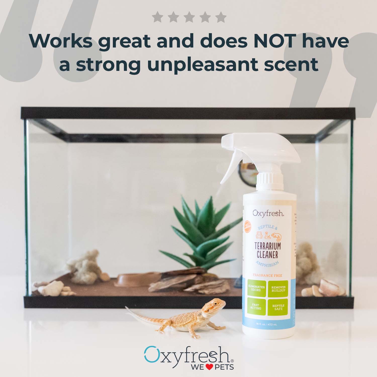 Oxyfresh terrarium cleaner with lizard outside of its habitat looking at the bottle