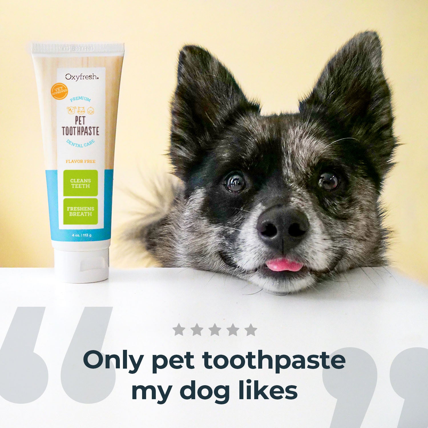 tube of oxyfresh pet toothpate and cute pup with his tongue partially stuck out