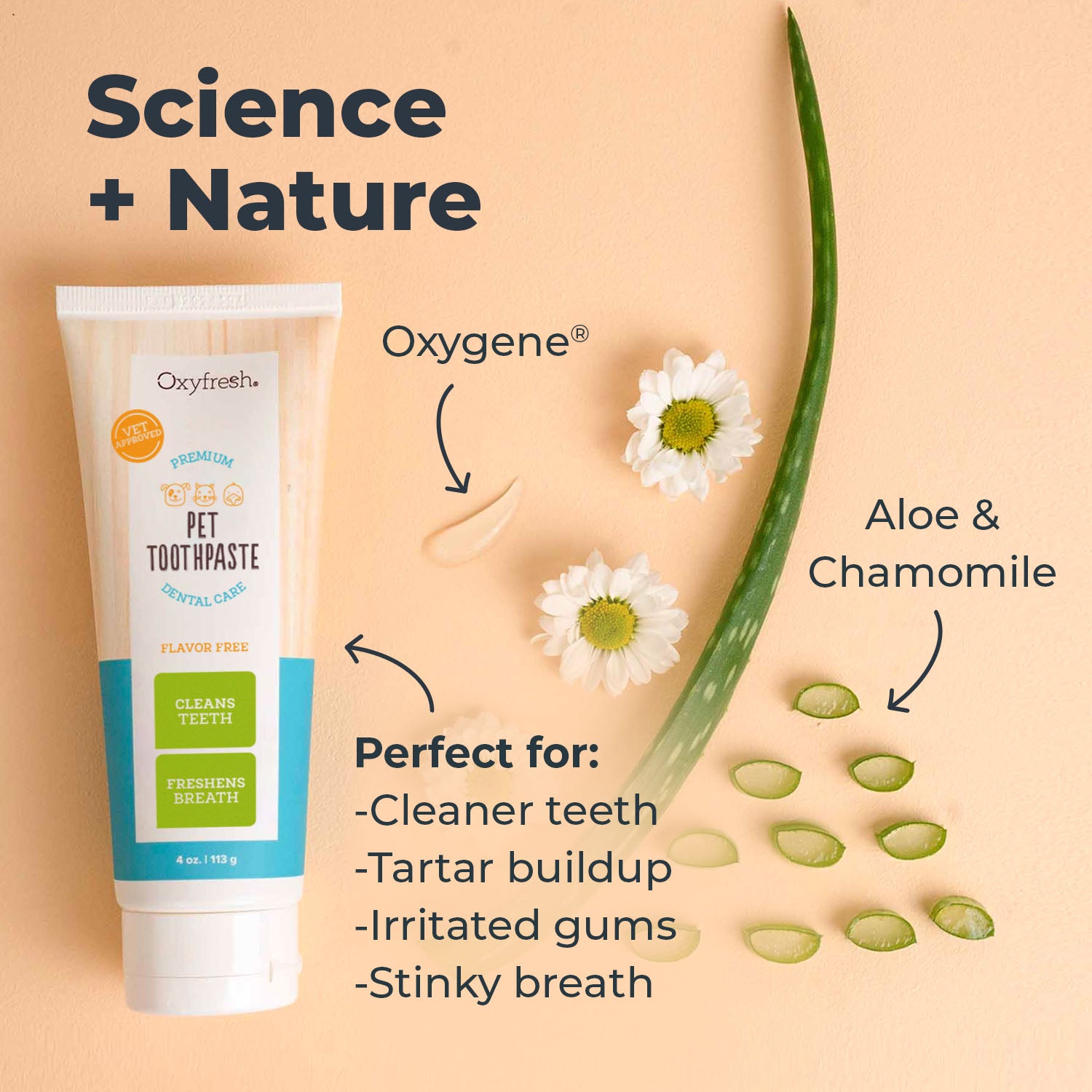 oxyfresh pet toothpaste with aloe and chamomile