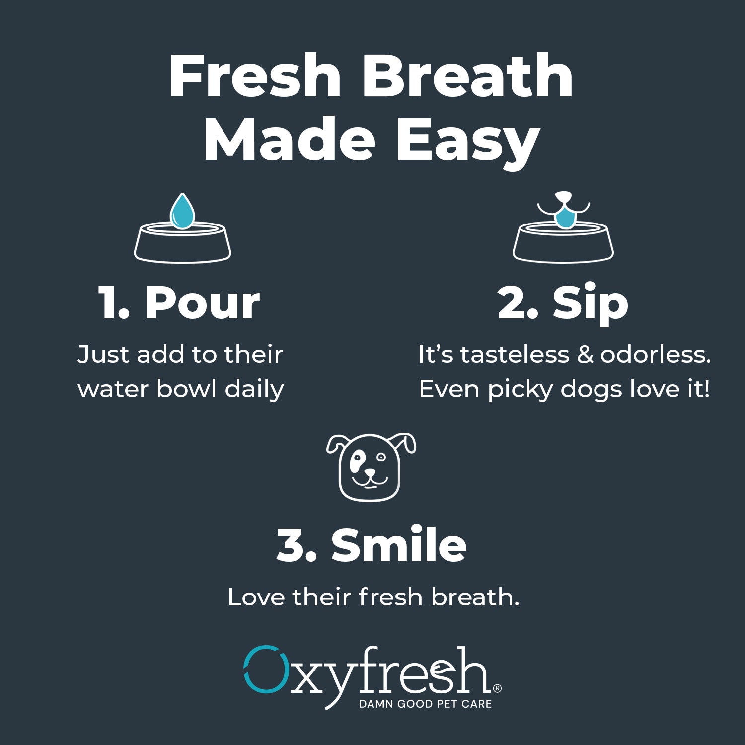 Dog Water Additive + Dog Dental Chew Toy