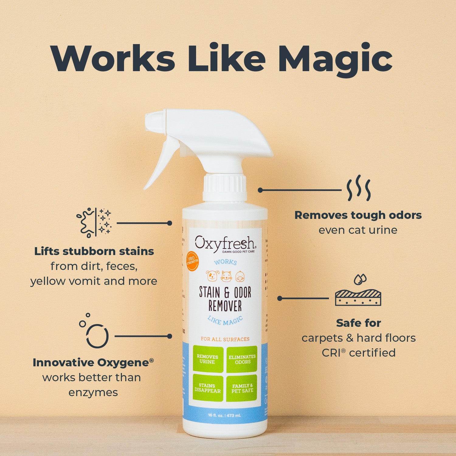 Advanced Pet Stain & Odor Remover - Best Way to Remove Stains