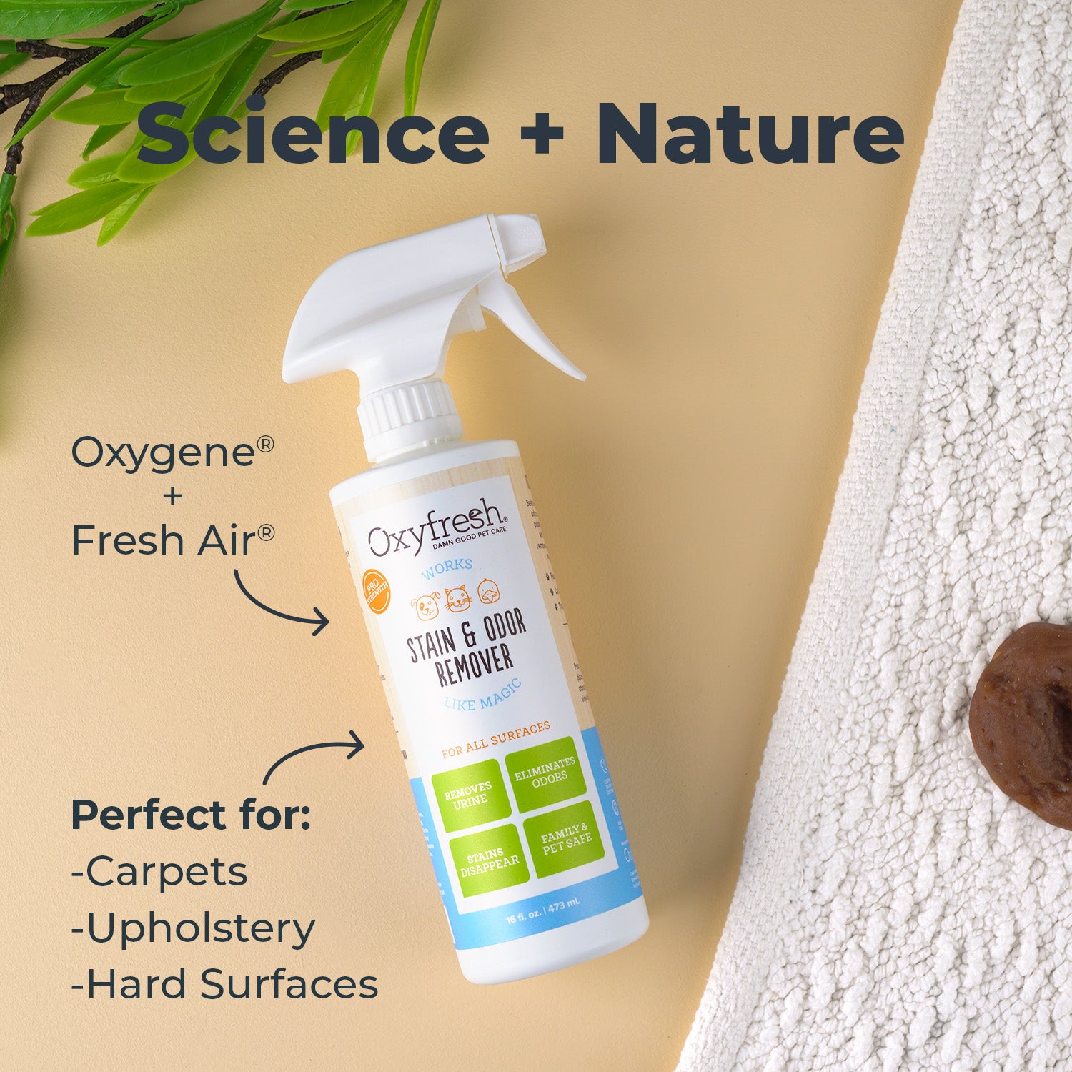 Advanced Pet Stain & Odor Remover - Best Way to Remove Stains