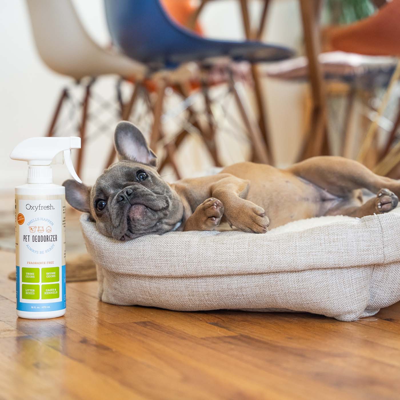 dog-laying-next-to-oxyfresh-pet-odor-eliminator-spray-deodorizer