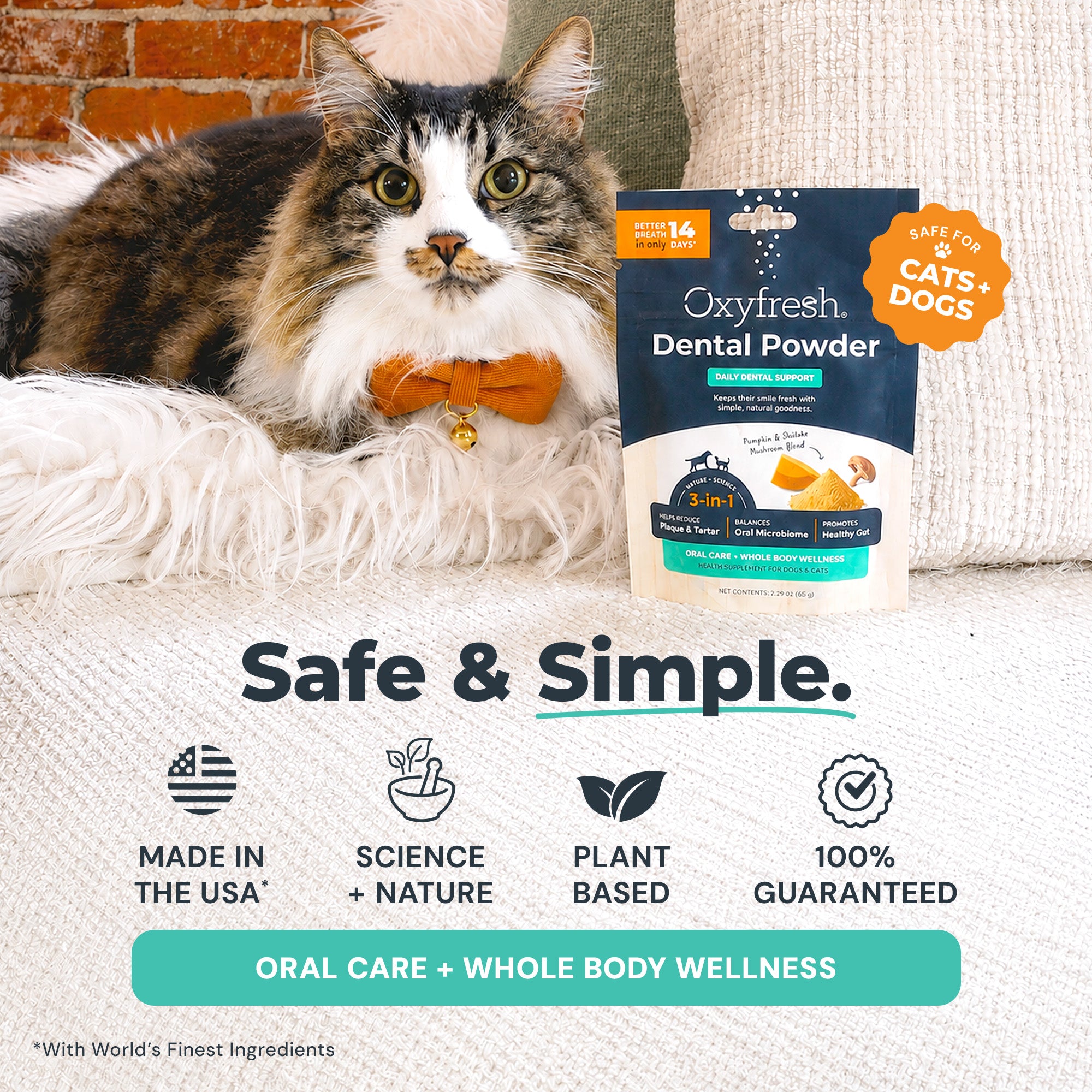 Advanced Dental Powder for Dogs & Cats ... Fresh Breath Just in 14 Days