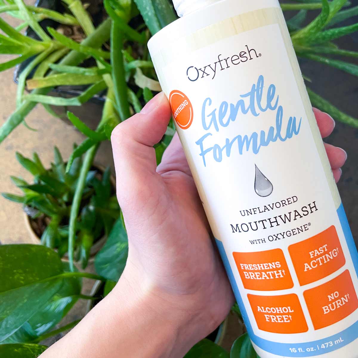 Social-Media-Post-From-Instagram-User-_tamarin-jump-holding-a-bottle-of-oxyfresh-gentle-formula-fluoride-free-mouthwash-for-sensitive-gums