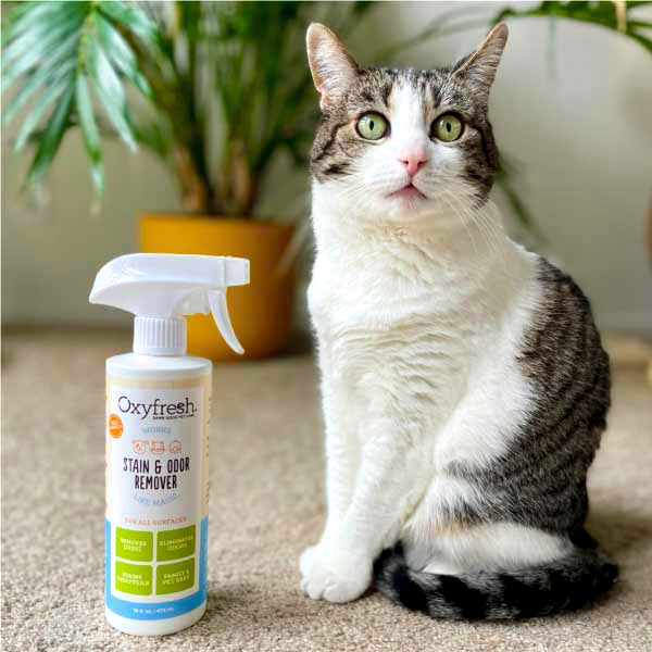 instagram-_sixpoundsofsass-cute-cat-with-oxyfresh-pet-spray-for-carpet