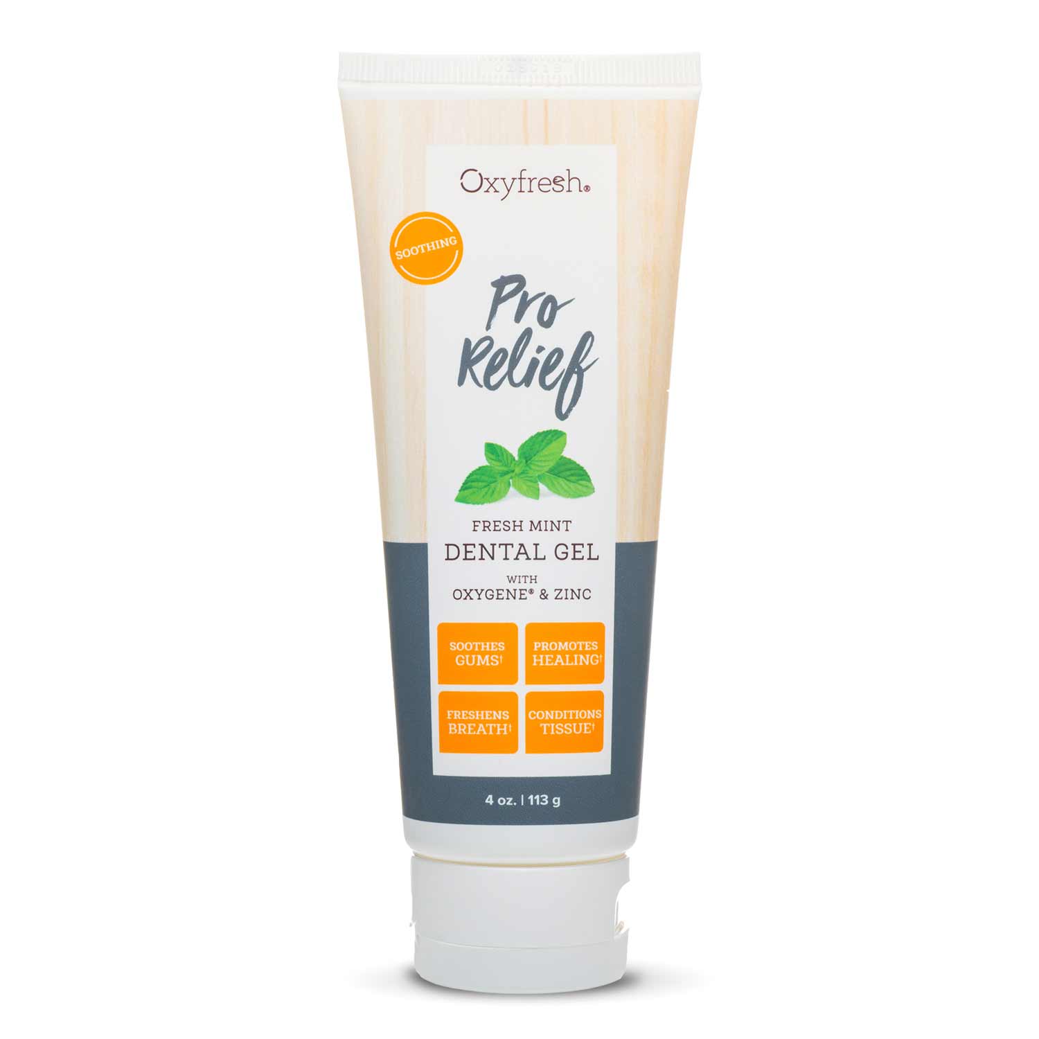 oxyfresh dental gel