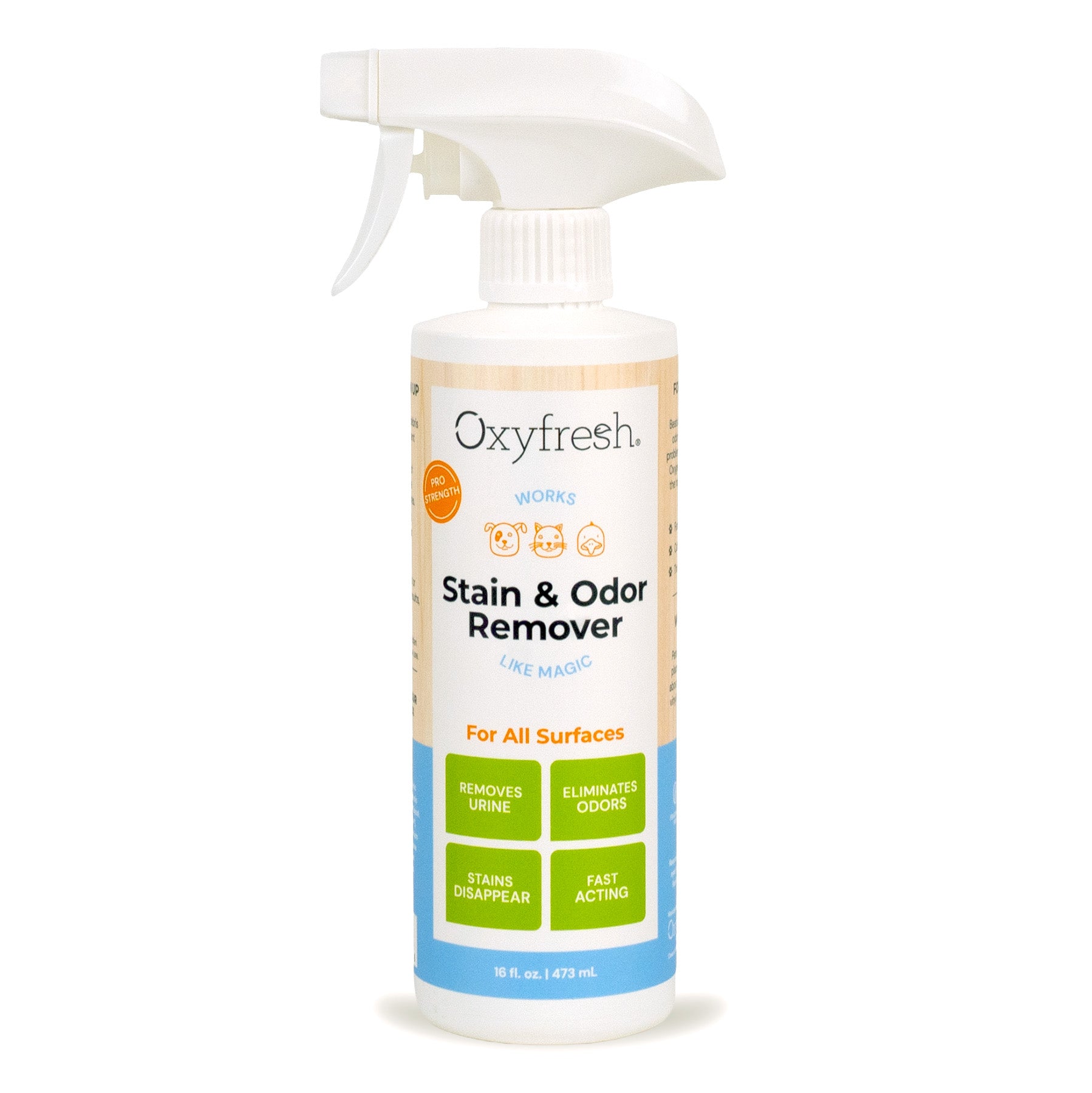 Best Odor And Stain Remover for Dogs: Top Picks for a Fresh Home