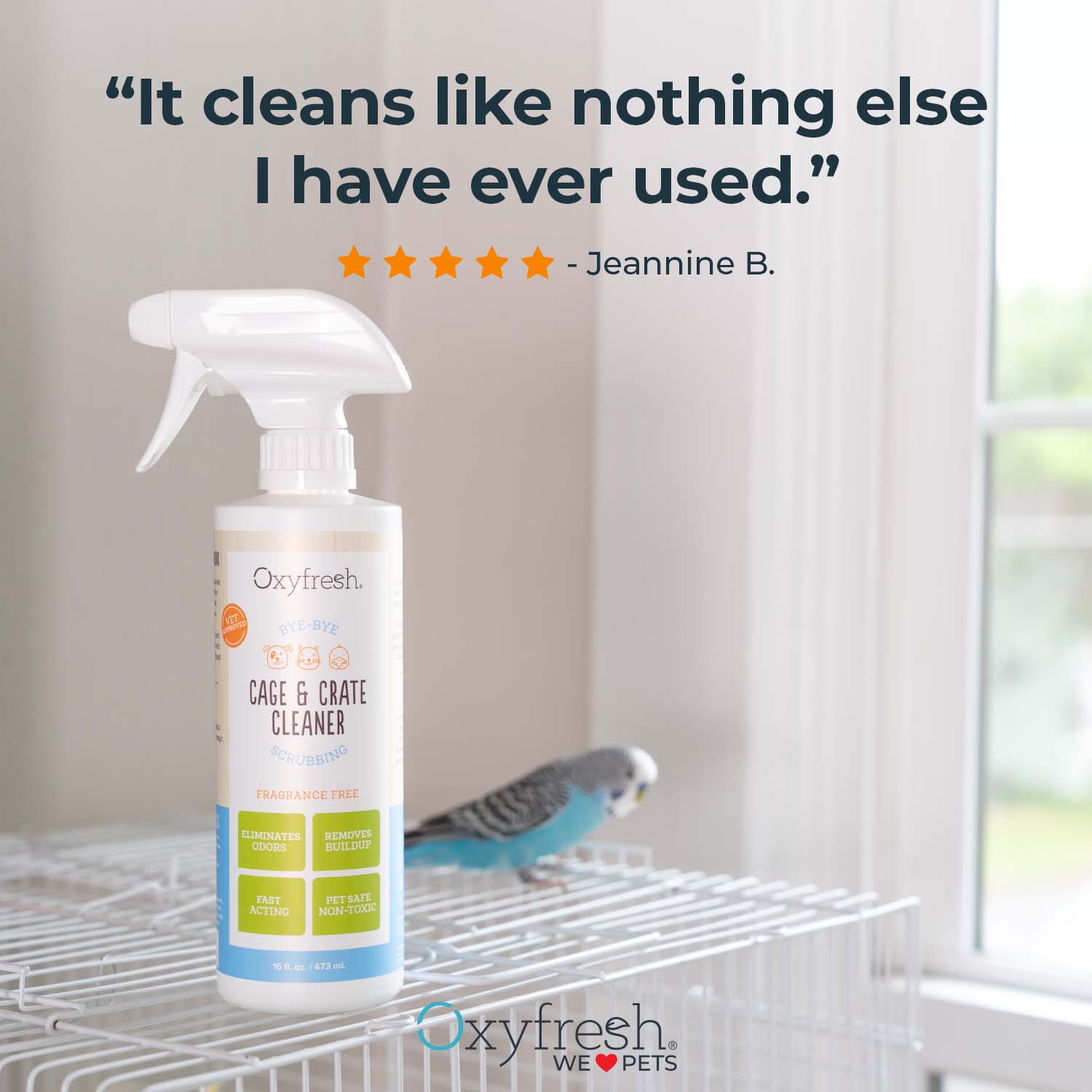 #size_oxyfresh-pet-cage-and-crate-cleaner-review-"It-cleans-like-nothing-else-I-have-ever-used."