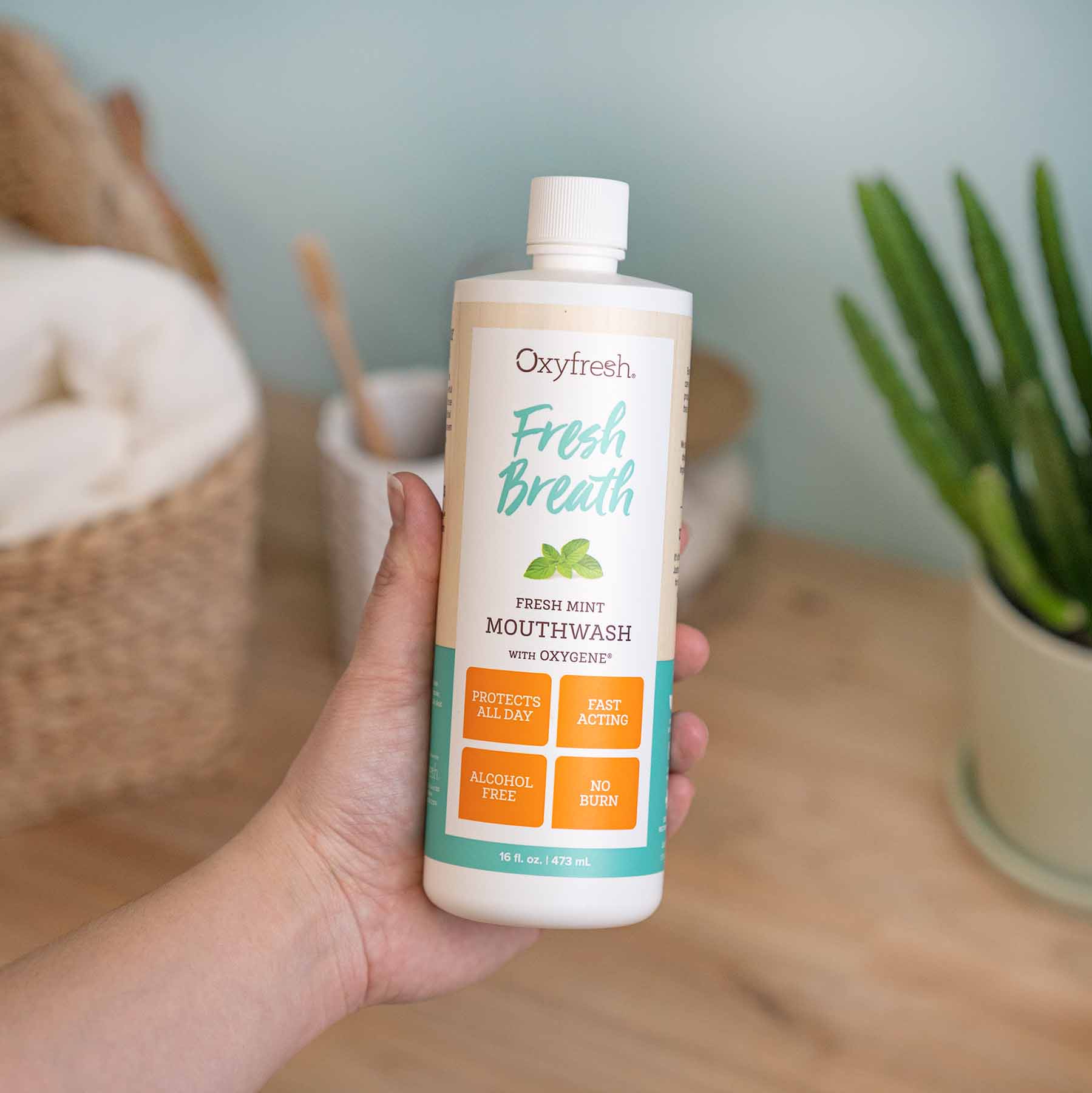oxyfresh-fresh-breath-fresh-mint–mouthwash