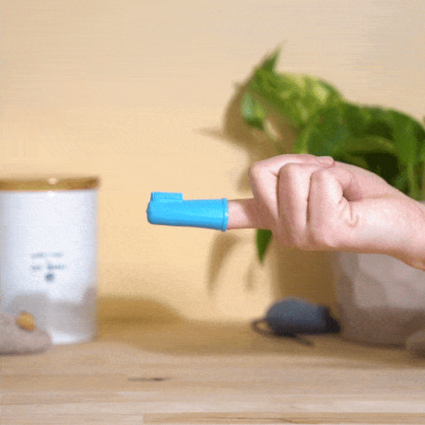 person applying clear oxyfresh pet dental gel toothpaste to a finger brush