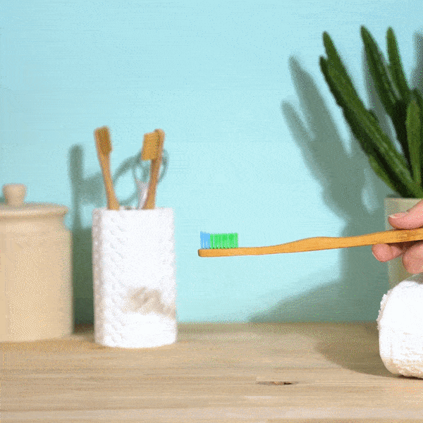 oxyfresh-pro-formula-freshmint-toothpaste-squeezed-on-toothbrush