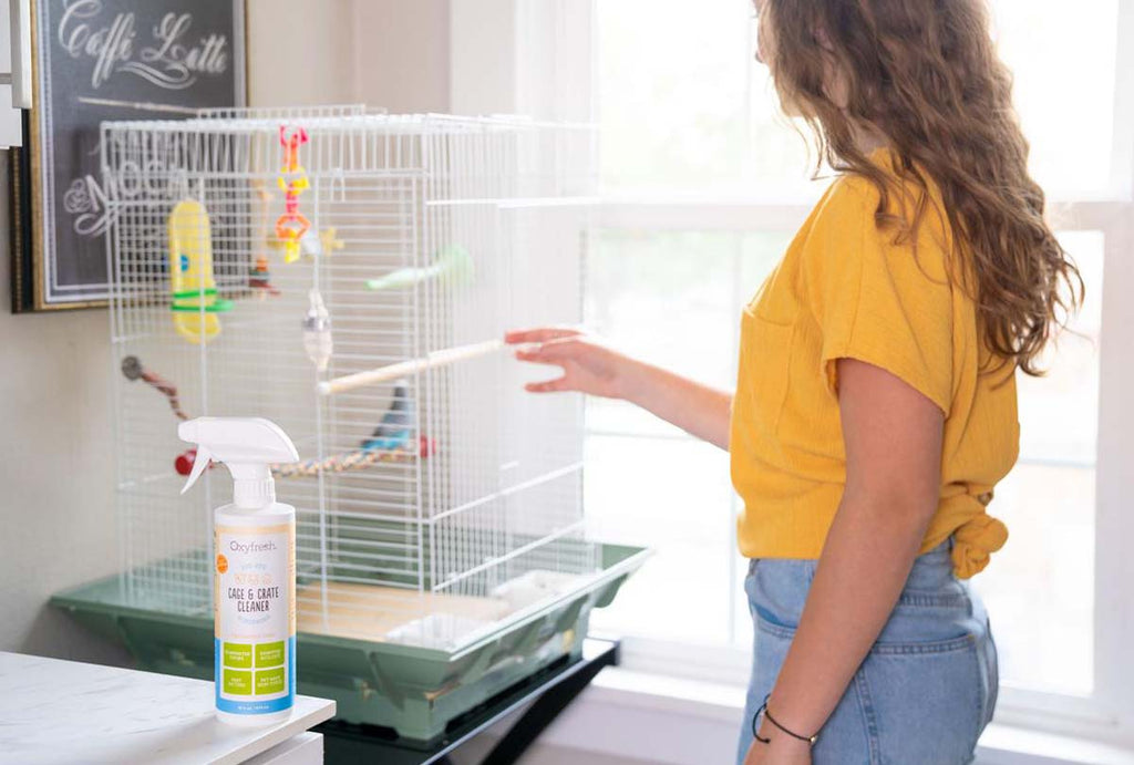 cleaning herschel backpack bird poop Absolutely Clean Amazing Remover - Just Spray/Wipe - Safely & Easily Removes Bird Messes - Use Indoor/Outdoor Off instantly removes droppings from all types of diets including seeds How To Wash Herschel Backpack