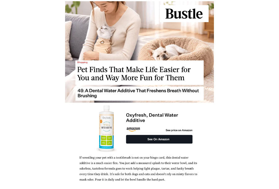 Bustle: "Pet Finds That Make Life Easier for You and Way More Fun for Them"