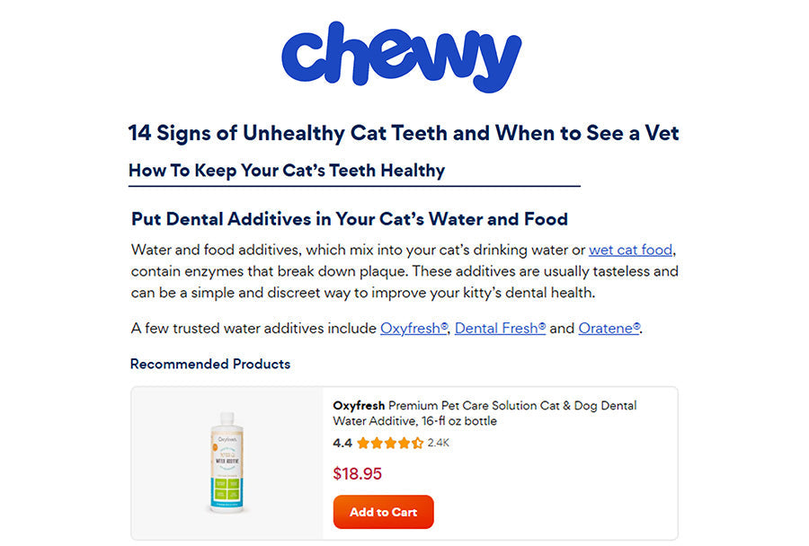 Chewy: "14 Signs of Unhealthy Cat Teeth and When to See a Vet"